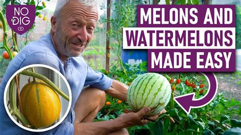 Melons Tube